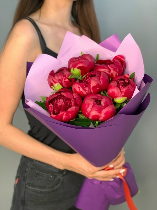 7 бордовых пионов