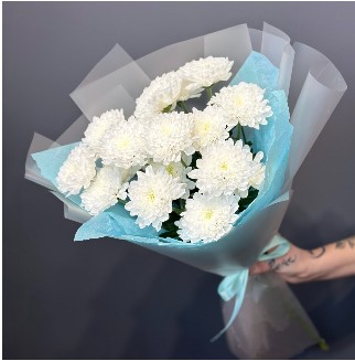 «Три грации»