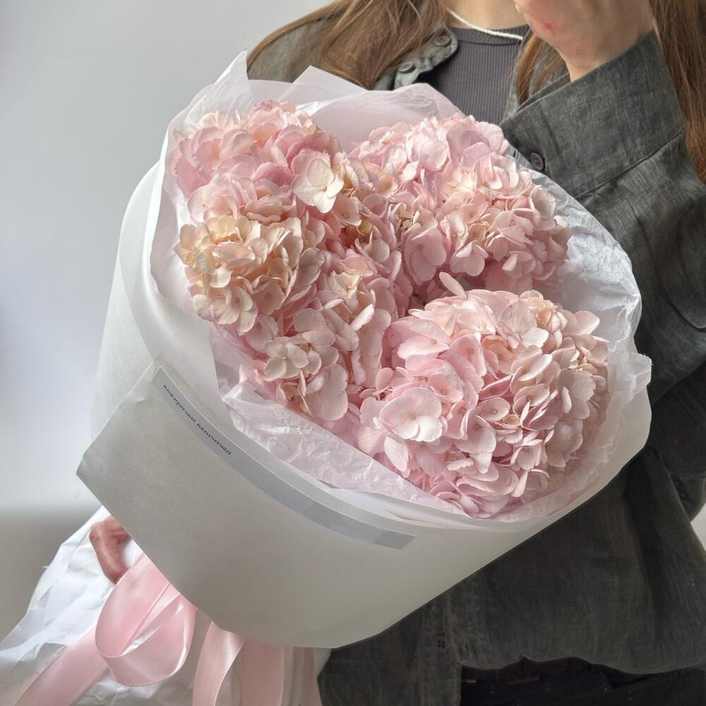 Розовые гортензии