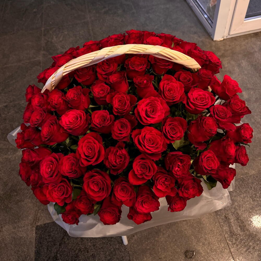 Королевская мантия 00