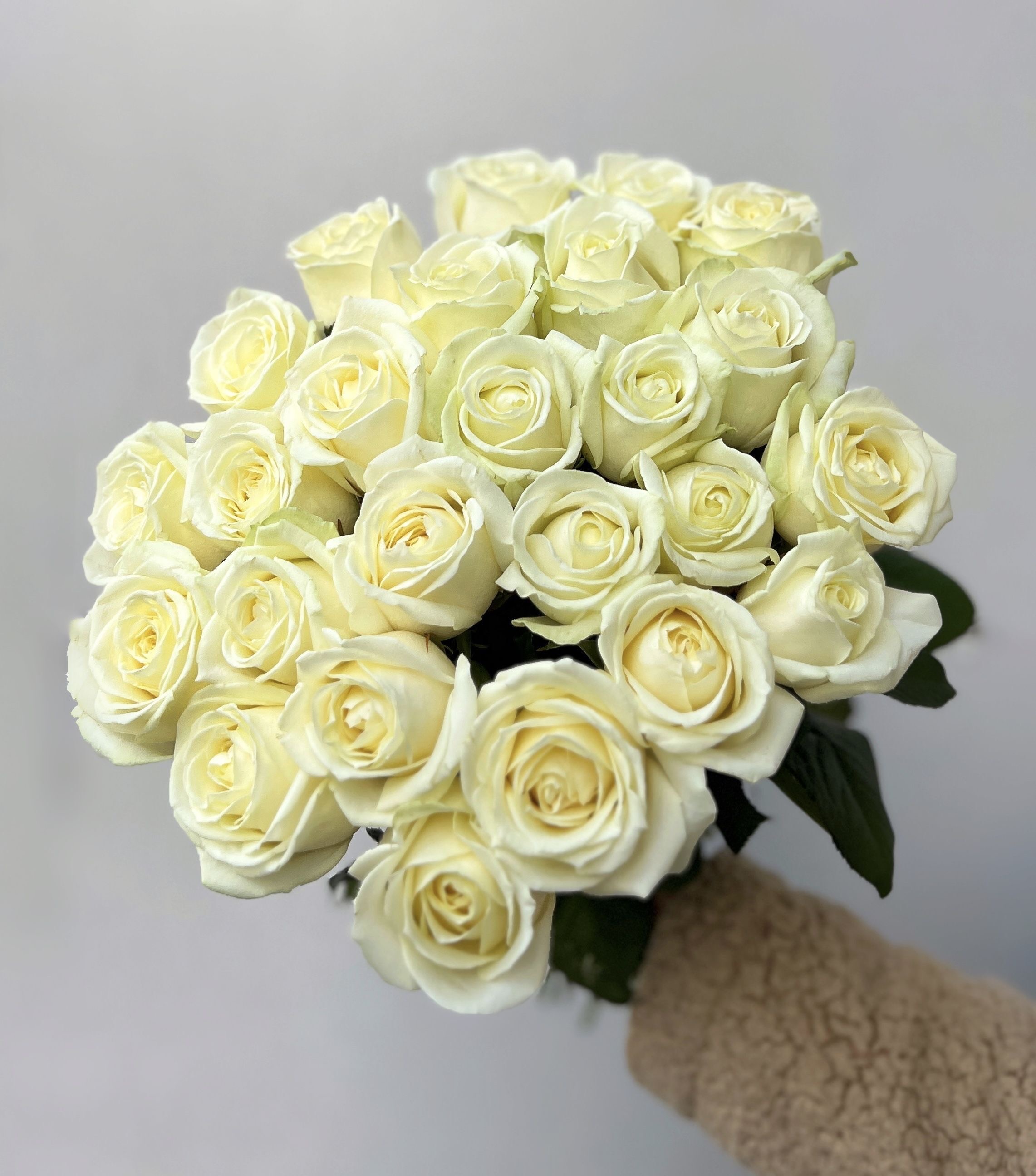 Букет из 25 белых роз 50 см