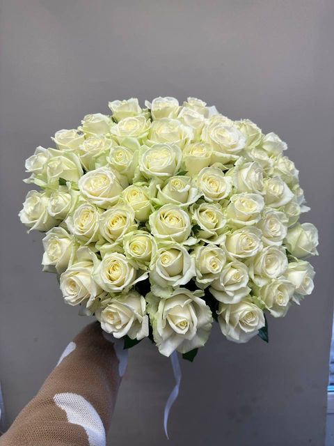 51 белая роза Россия