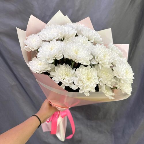 Букет из белых кустовых хризантем в розовой упаковке (б1778)