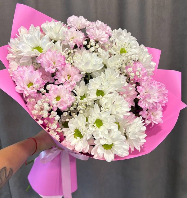 7 Ромашковых хризантем с гипсофилой