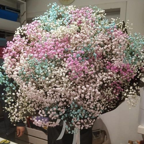 35 гипсофил в дизайнерской упаковке