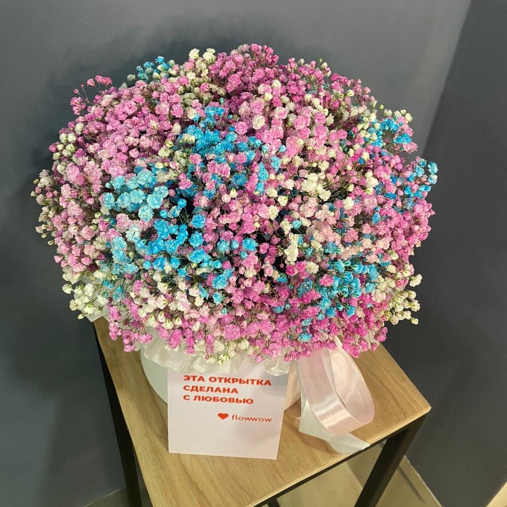 Гипсофила в коробке