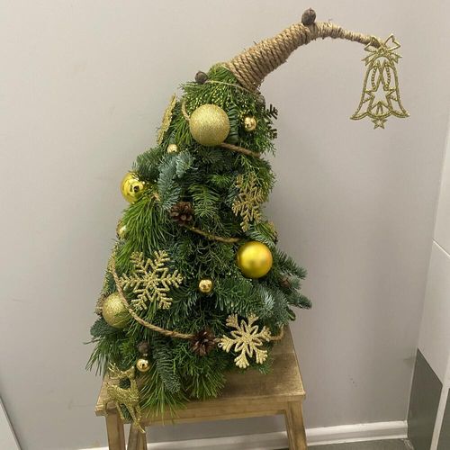 Елка из кипариса, можж, нобилиса и сосны