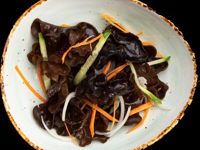 Древесные грибы