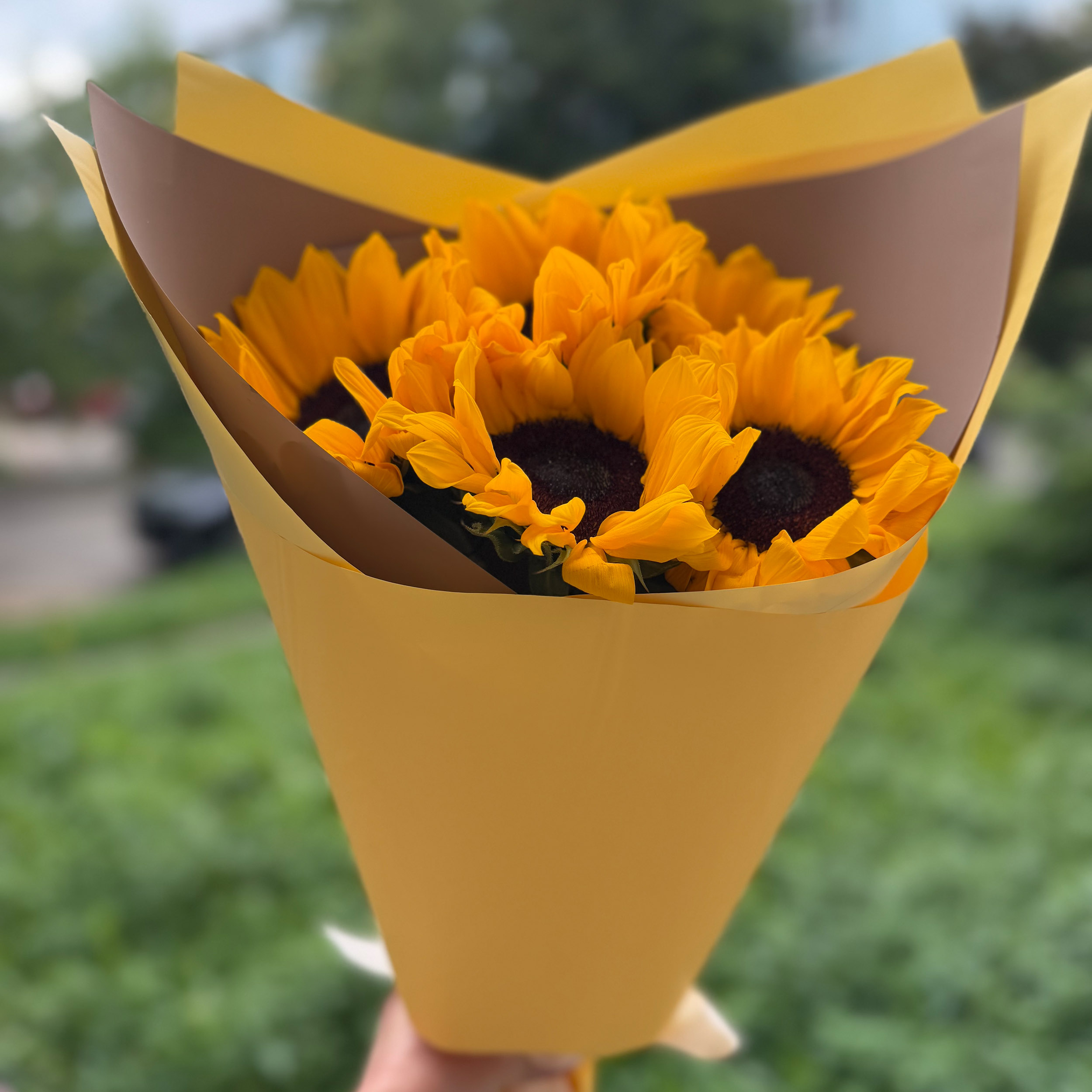Букет из подсолнухов 5шт.