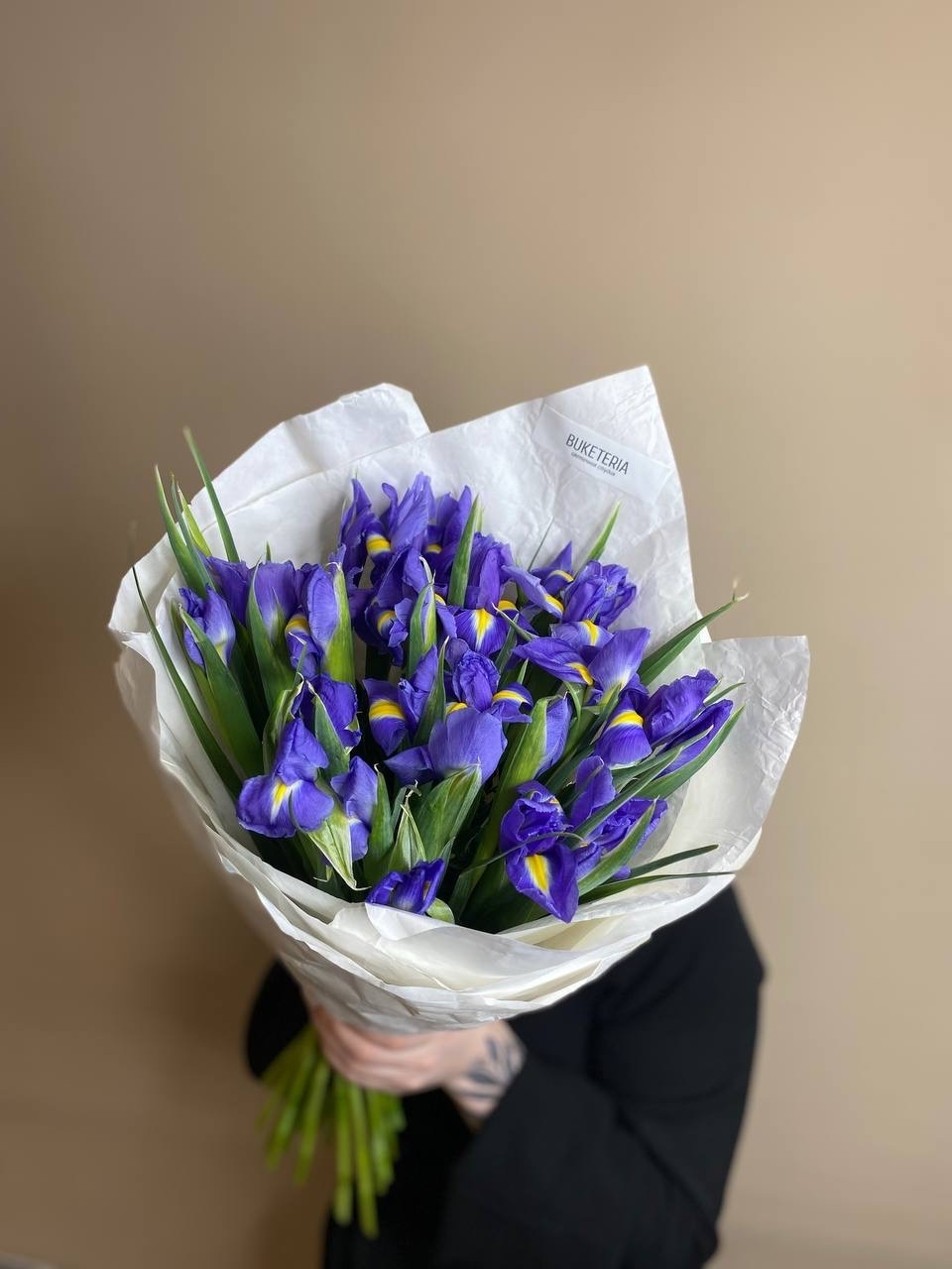 Синие ирисы