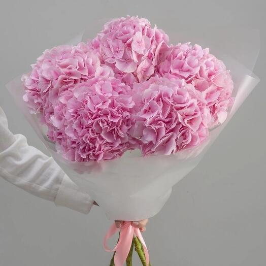 Букет из гортензий 5 шт 