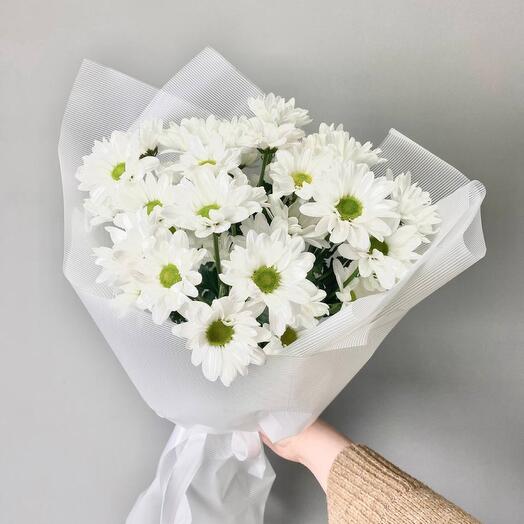 Букет-комплимент «Ромашка» из ромашковидных хризантем