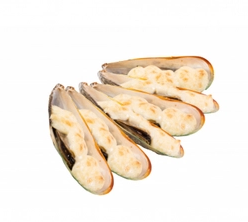 Мидии под сыром