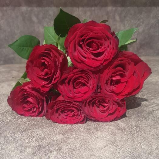 Розы красные