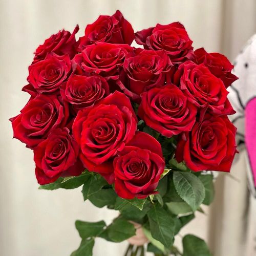 Букет из 15 красных роз 
