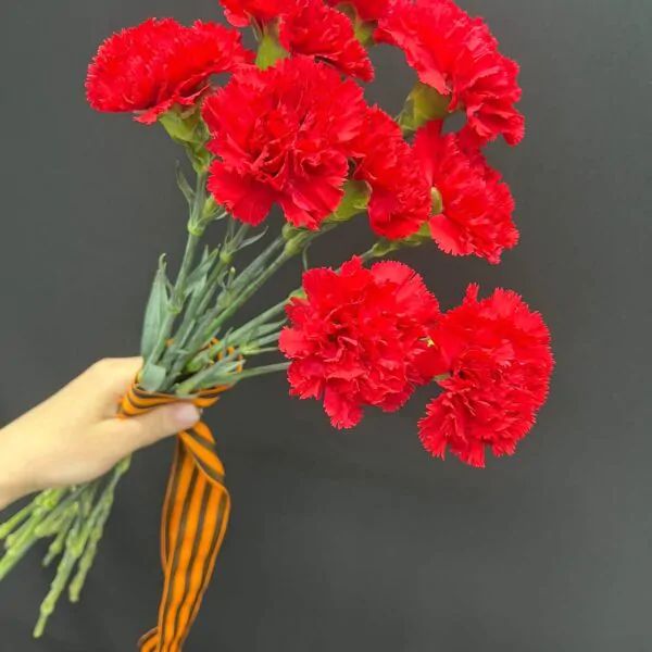 Гвоздика к празднику 10 штук на ленте