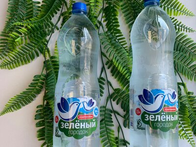 Вода питьевая Зелёный городок С газом