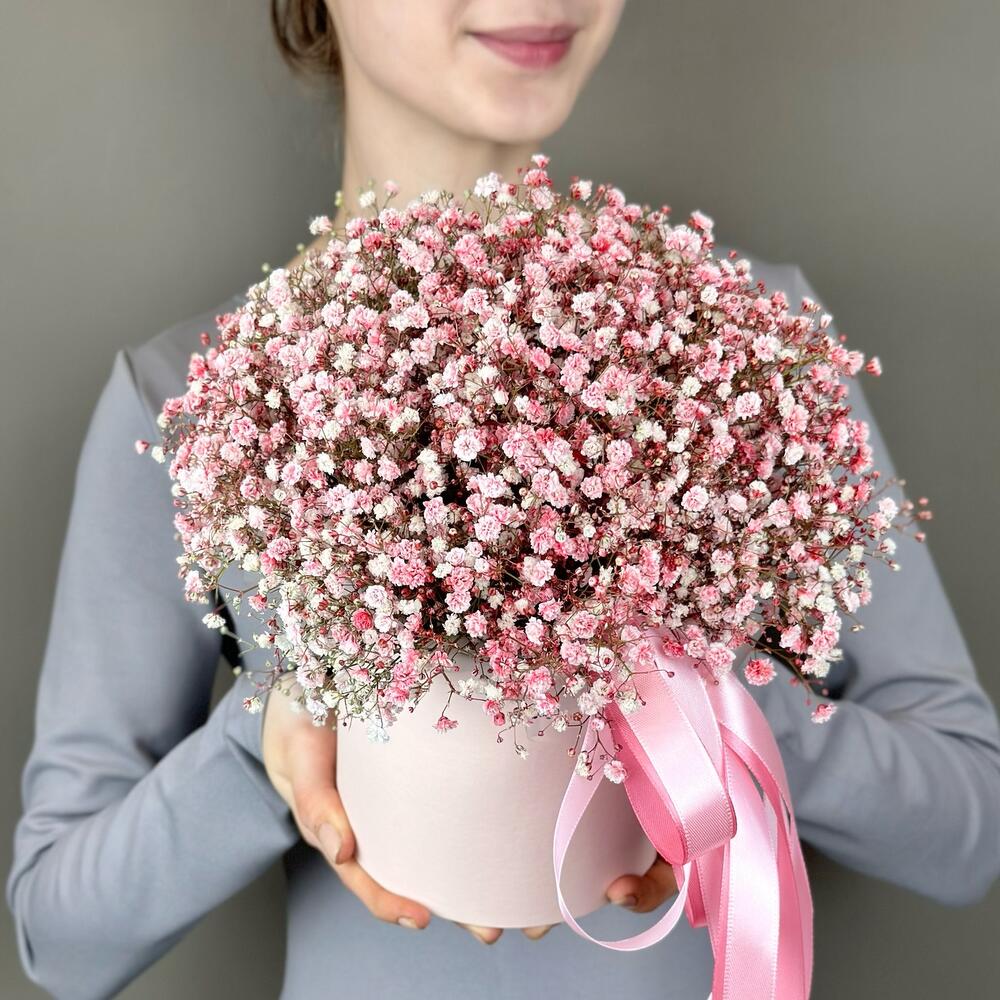 Гипсофилка в коробке