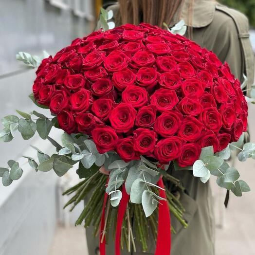 Стильная и высокая красная роза с эвкалиптом