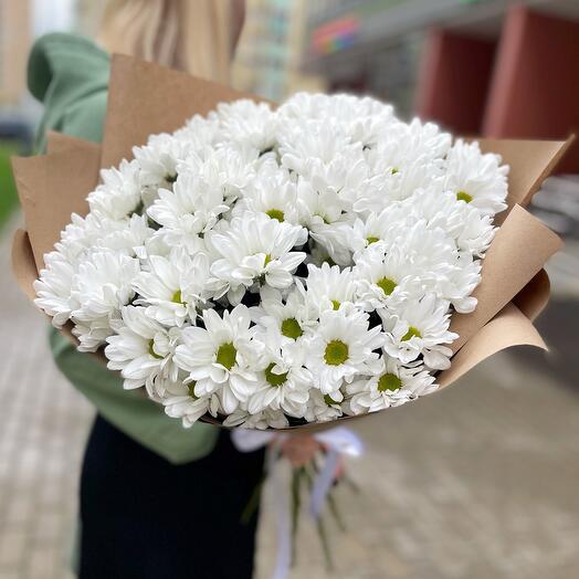 Кустовые ромашки