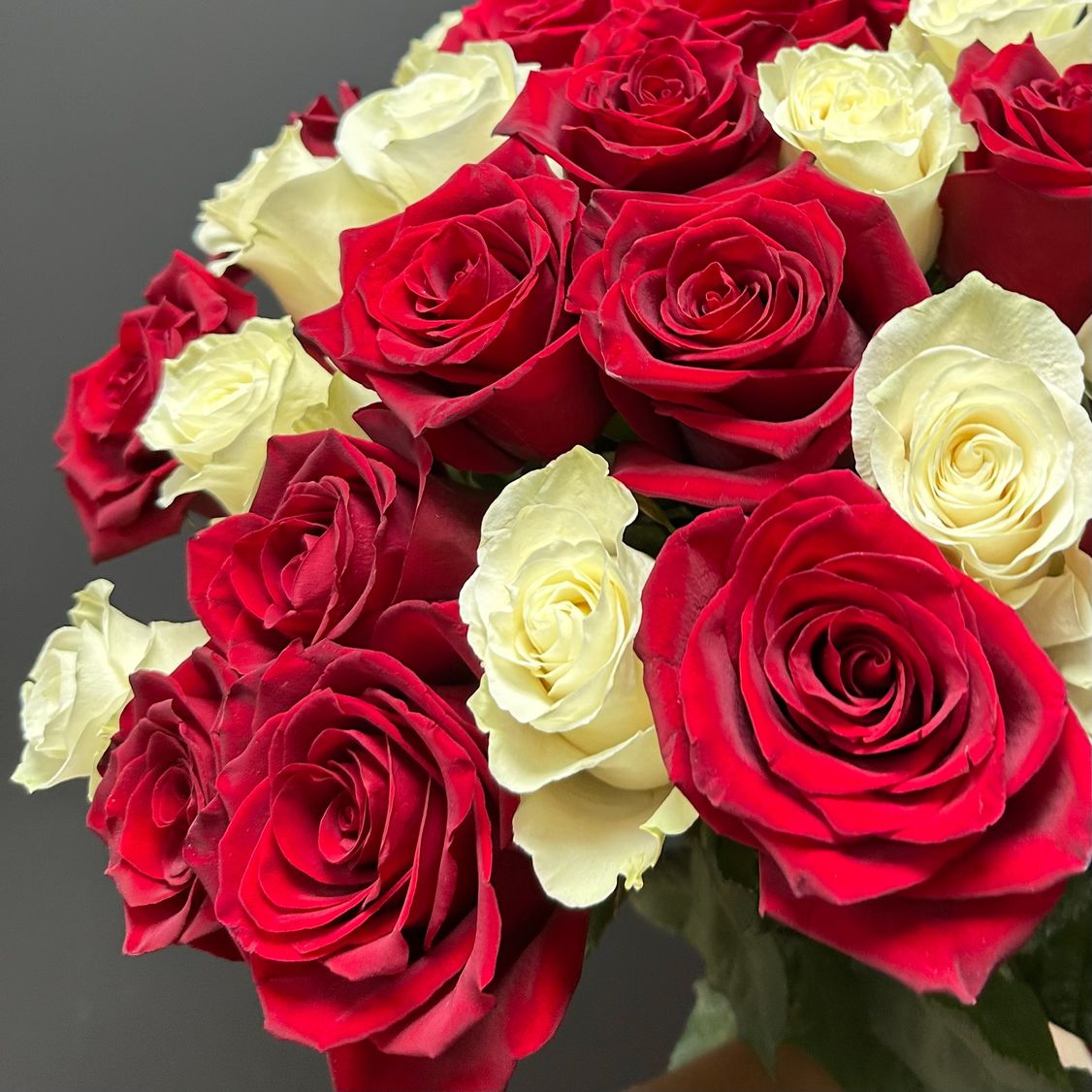 Розы микс белые и бордовые 25 шт