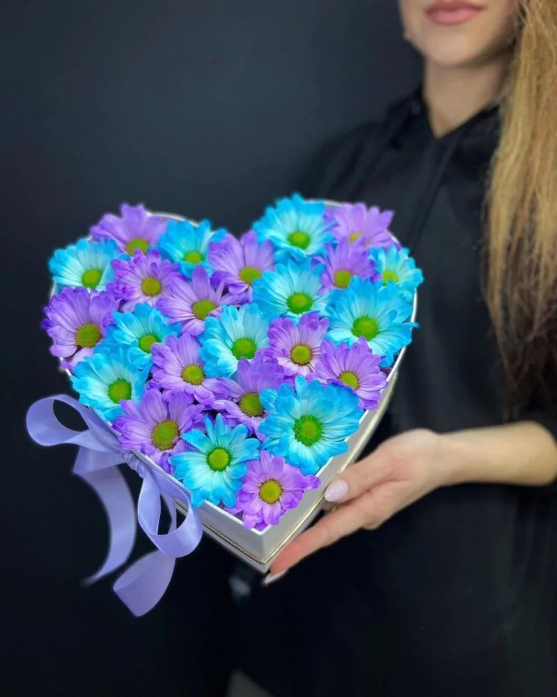 Композиция из светло-голубых и сиреневых хризантем в форме сердца