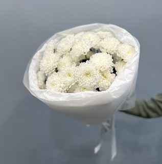 «Белое сияние»