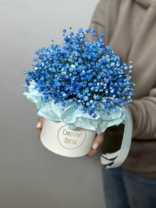 Голубая гипсофила в коробке
