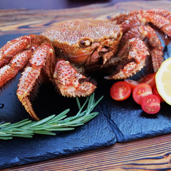 Краб волосатик