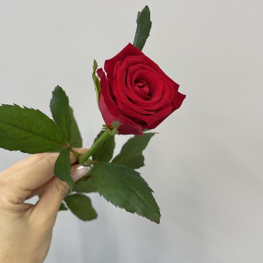 Красная Роза 40 см