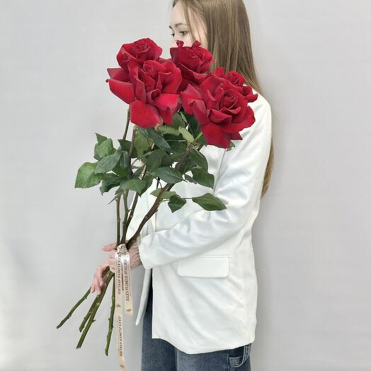 Метровые Французские розы Эксплорер