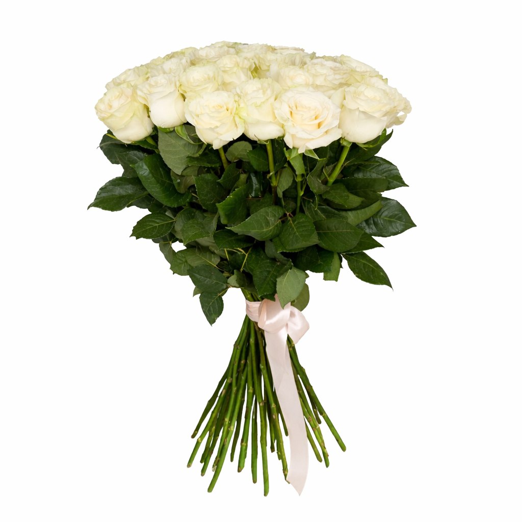 Роза «Мондиаль»