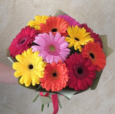 Герберный микс 3