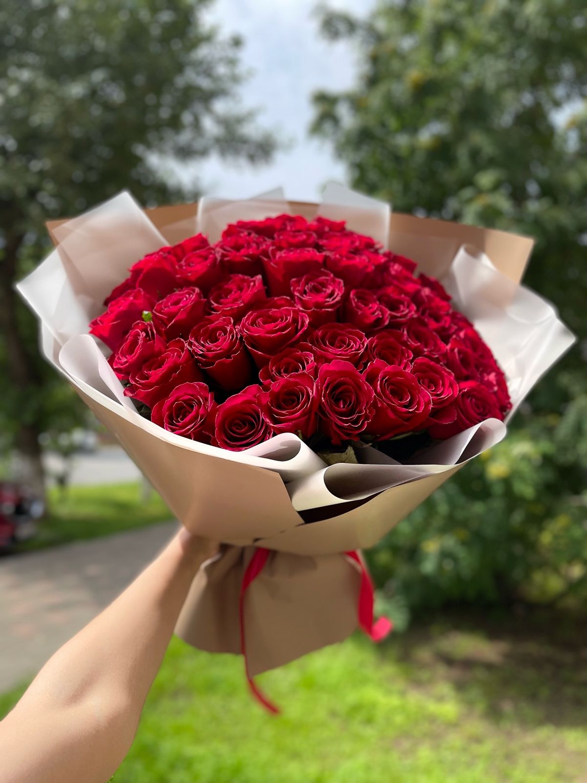 51 Кенийская роза