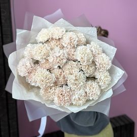 25 кремовых диантусов