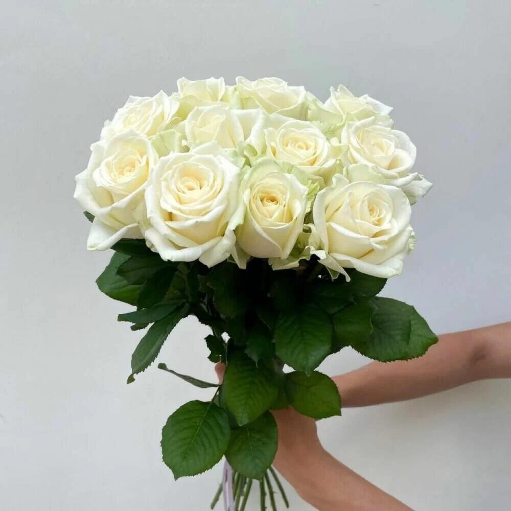 Букет из 11 белых роз 70см