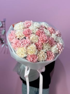 29 диантусов