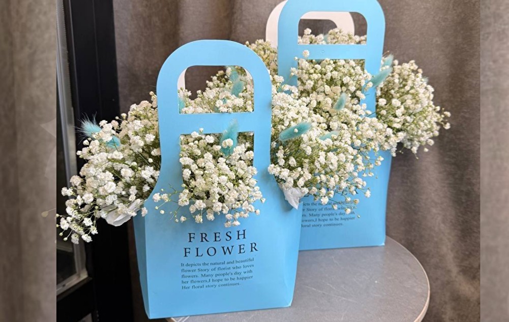 №48 Гипсофила в сумочке M