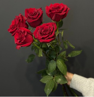 "Красные розы"