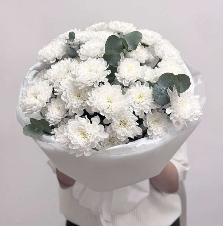 7 кустовых хризантем