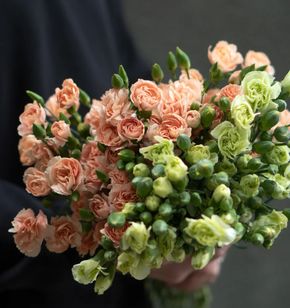 Гвоздика кустовая