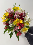 Букет из 17 альстромерий микс под ленту
