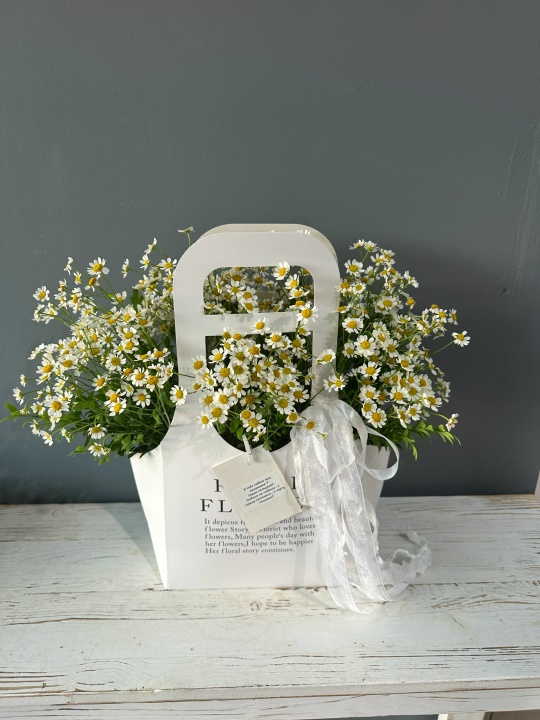 Стильная сумочка с нежными ромашками