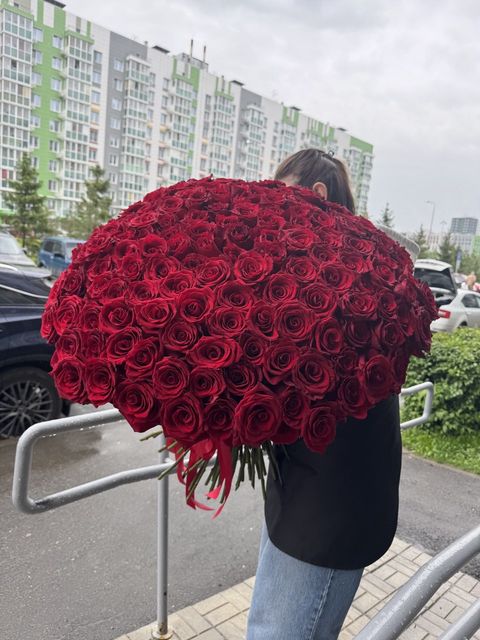 101 красная роза