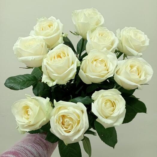 Букет из 11 белых роз с атласной лентой