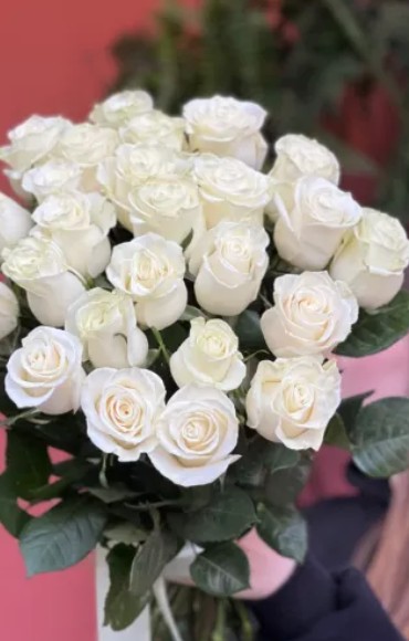 25 белых эквадорских роз