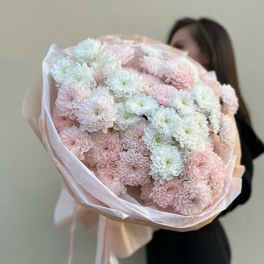 Хризантема алтай