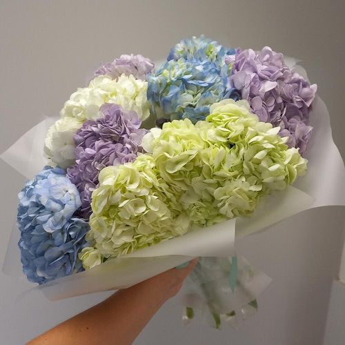 Большой букет свежих гортензий