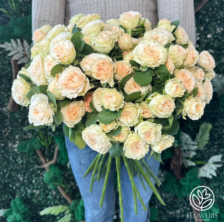 Букет из 19 пионовидных нежно-персиковых кустовых роз под ленту