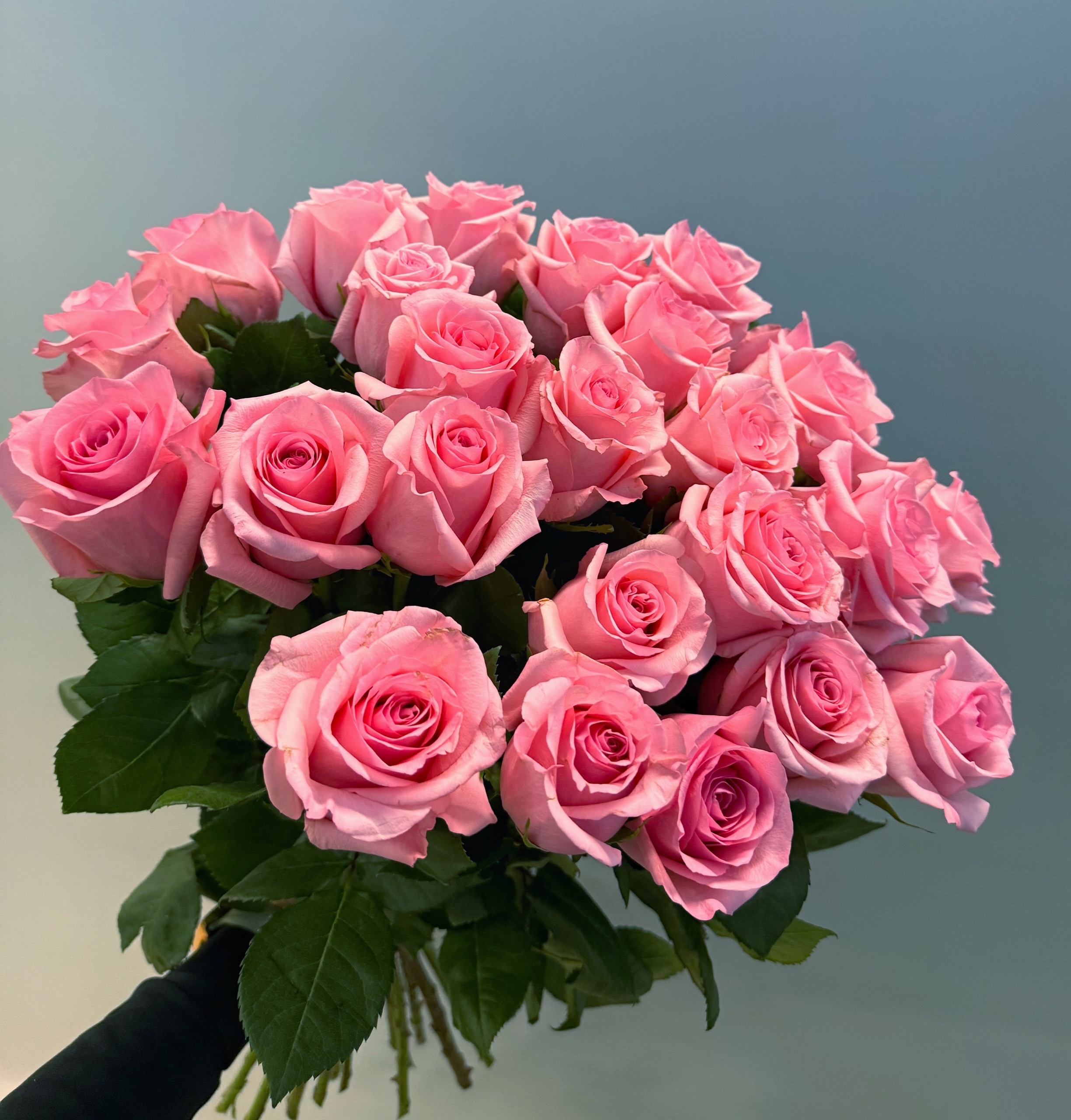25 розовых роз